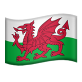 emoji_u1f3f4_e0067_e0062_e0077_e006c_e0073_e007f.png