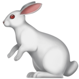 emoji_u1f407.png