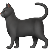 emoji_u1f408_200d_2b1b.png