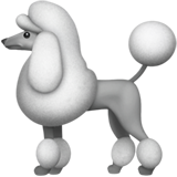 emoji_u1f429.png