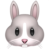 emoji_u1f430.png