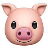 emoji_u1f437.png