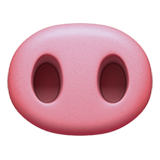 emoji_u1f43d.png