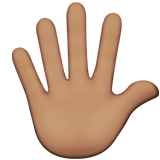 emoji_u1f590_1f3fd.png