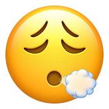 emoji_u1f62e_200d_1f4a8.png