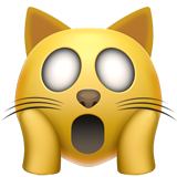 emoji_u1f640.png