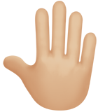 emoji_u1f91a_1f3fc.png