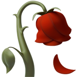 emoji_u1f940.png