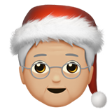 emoji_u1f9d1_1f3fc_200d_1f384.png