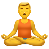 emoji_u1f9d8_200d_2642.png