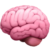 emoji_u1f9e0.png