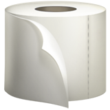 emoji_u1f9fb.png