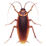 emoji_u1fab3.png