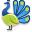 peacock.png